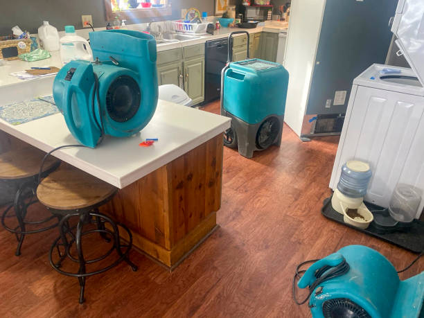 Best Flooded house restoration  in Palm Harbor, FL