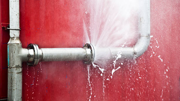 Best Emergency water damage restoration  in Palm Harbor, FL